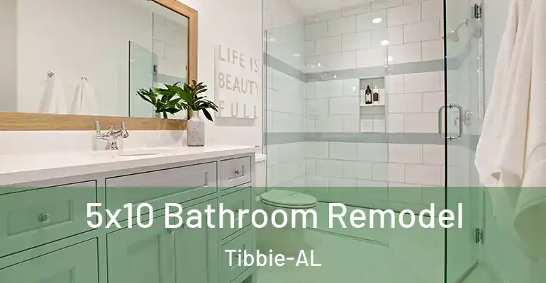 inner Bathroom imggen 5x10 Bathroom Remodel Tibbie-AL