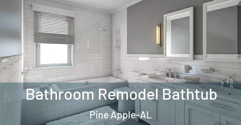 inner Bathroom imggen Bathroom Remodel Bathtub Pine Apple-AL