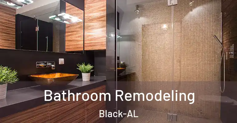 inner Bathroom imggen Bathroom Remodeling Black-AL