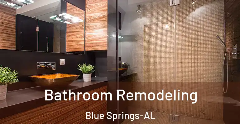 inner Bathroom imggen Bathroom Remodeling Blue Springs-AL