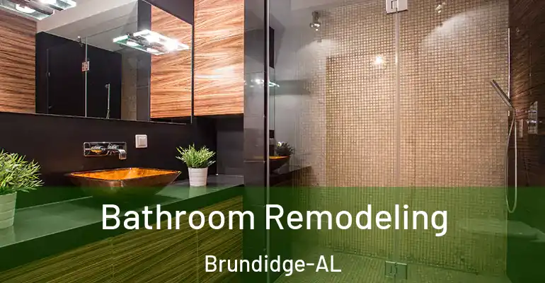 inner Bathroom imggen Bathroom Remodeling Brundidge-AL