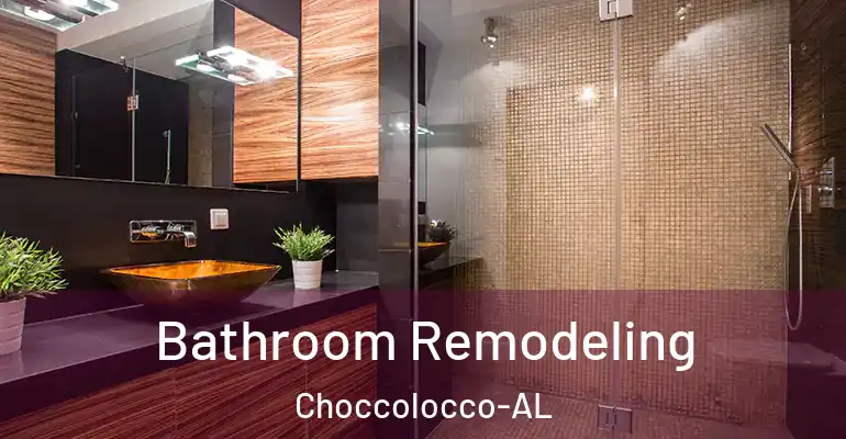 inner Bathroom imggen Bathroom Remodeling Choccolocco-AL
