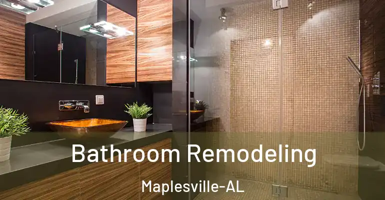inner Bathroom imggen Bathroom Remodeling Maplesville-AL