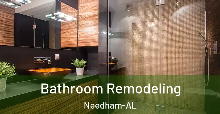 inner Bathroom imggen Bathroom Remodeling Needham-AL