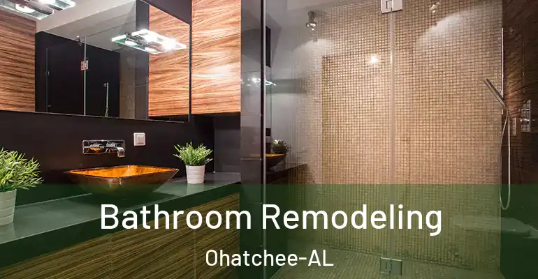 inner Bathroom imggen Bathroom Remodeling Ohatchee-AL