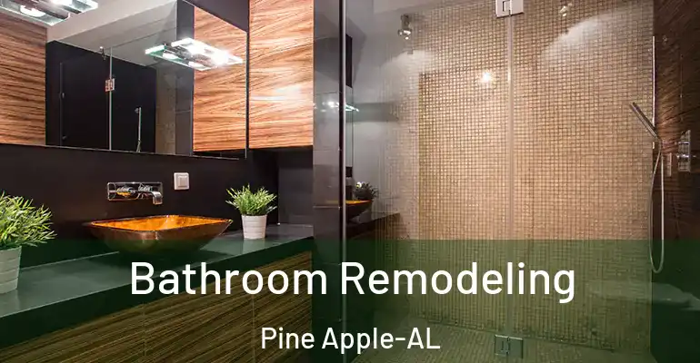 inner Bathroom imggen Bathroom Remodeling Pine Apple-AL