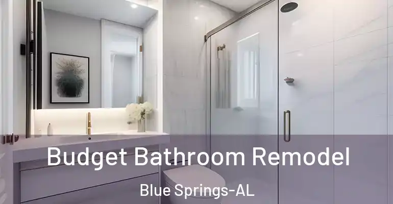inner Bathroom imggen Budget Bathroom Remodel Blue Springs-AL
