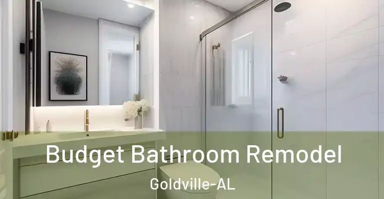 inner Bathroom imggen Budget Bathroom Remodel Goldville-AL
