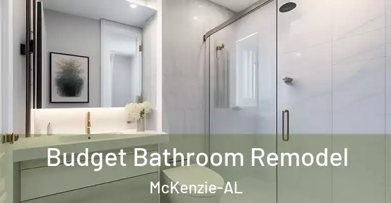 inner Bathroom imggen Budget Bathroom Remodel McKenzie-AL