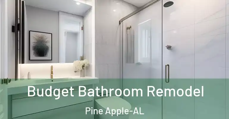 inner Bathroom imggen Budget Bathroom Remodel Pine Apple-AL