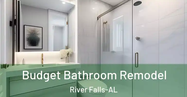 inner Bathroom imggen Budget Bathroom Remodel River Falls-AL