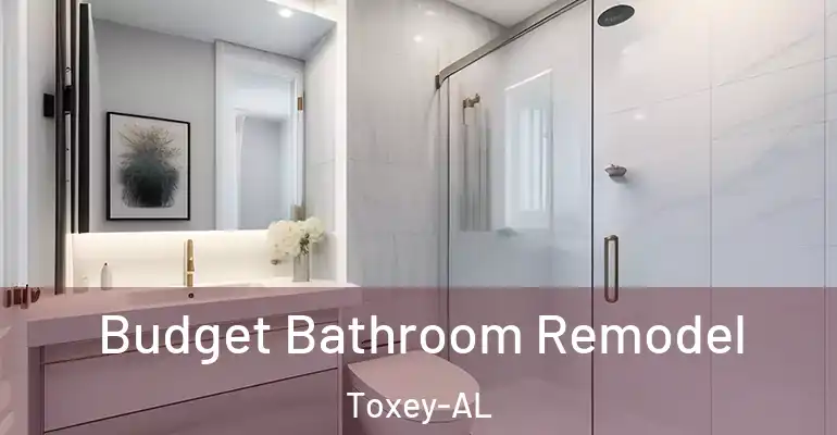 inner Bathroom imggen Budget Bathroom Remodel Toxey-AL