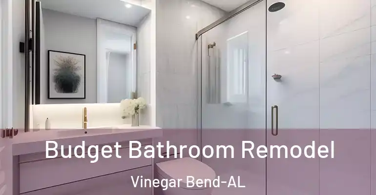 inner Bathroom imggen Budget Bathroom Remodel Vinegar Bend-AL