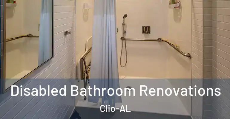 inner Bathroom imggen Disabled Bathroom Renovations Clio-AL