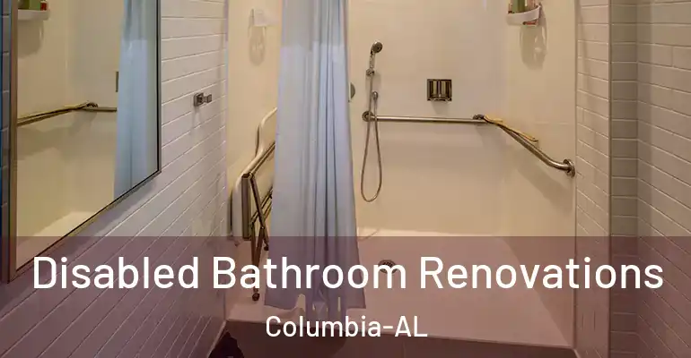 inner Bathroom imggen Disabled Bathroom Renovations Columbia-AL