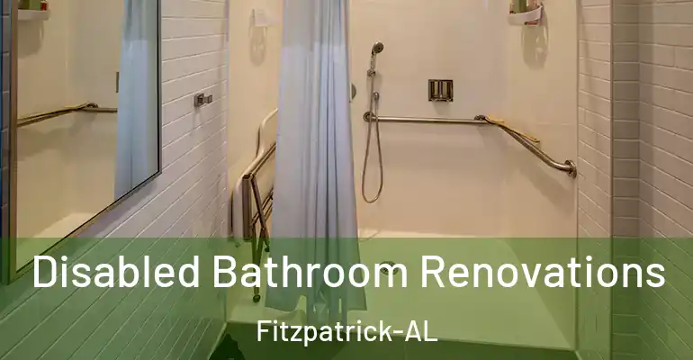 inner Bathroom imggen Disabled Bathroom Renovations Fitzpatrick-AL