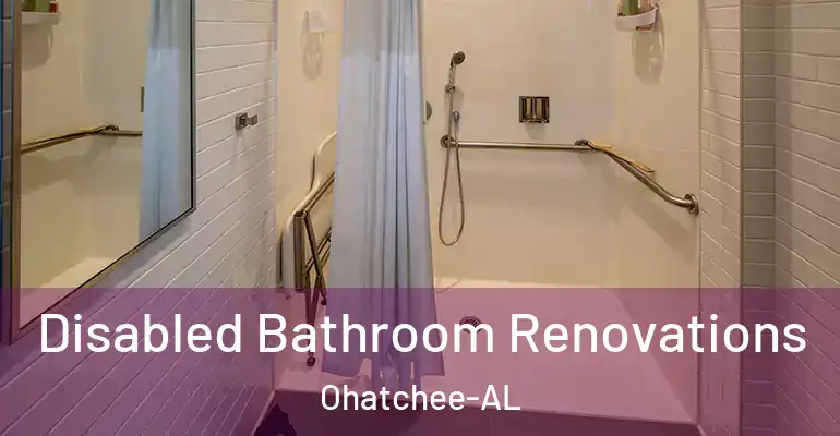 inner Bathroom imggen Disabled Bathroom Renovations Ohatchee-AL