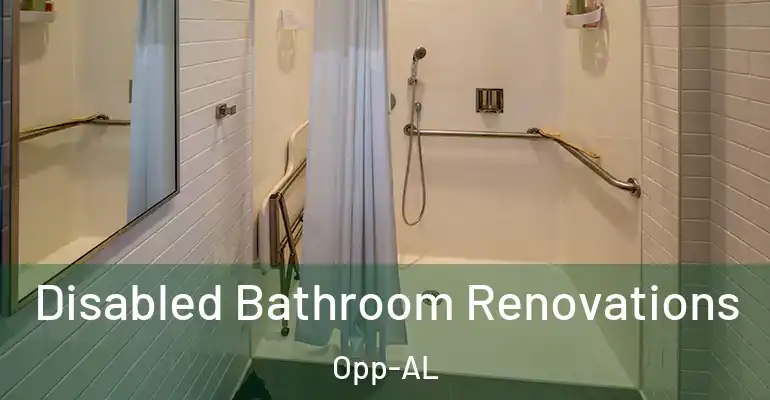 inner Bathroom imggen Disabled Bathroom Renovations Opp-AL