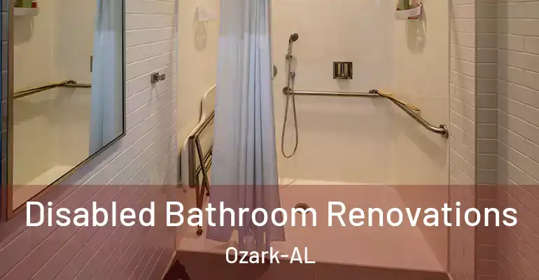 inner Bathroom imggen Disabled Bathroom Renovations Ozark-AL