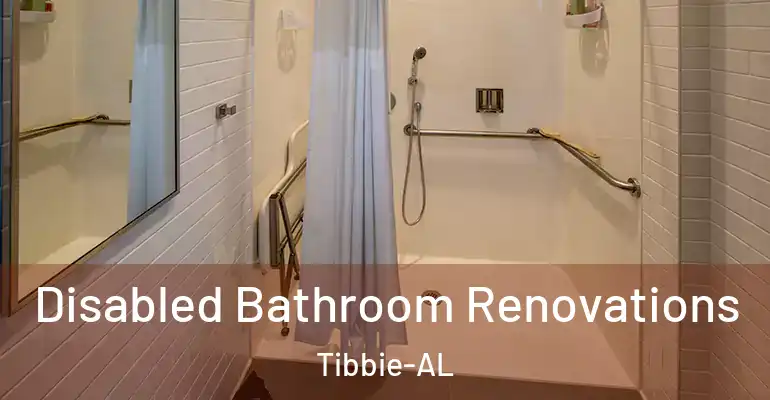 inner Bathroom imggen Disabled Bathroom Renovations Tibbie-AL