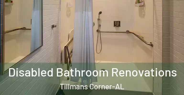 inner Bathroom imggen Disabled Bathroom Renovations Tillmans Corner-AL