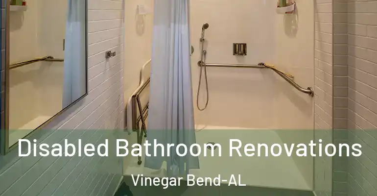 inner Bathroom imggen Disabled Bathroom Renovations Vinegar Bend-AL