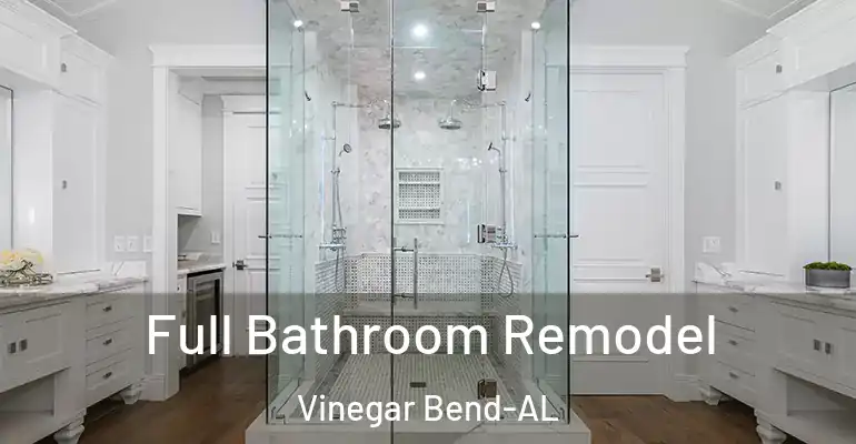 inner Bathroom imggen Full Bathroom Remodel Vinegar Bend-AL