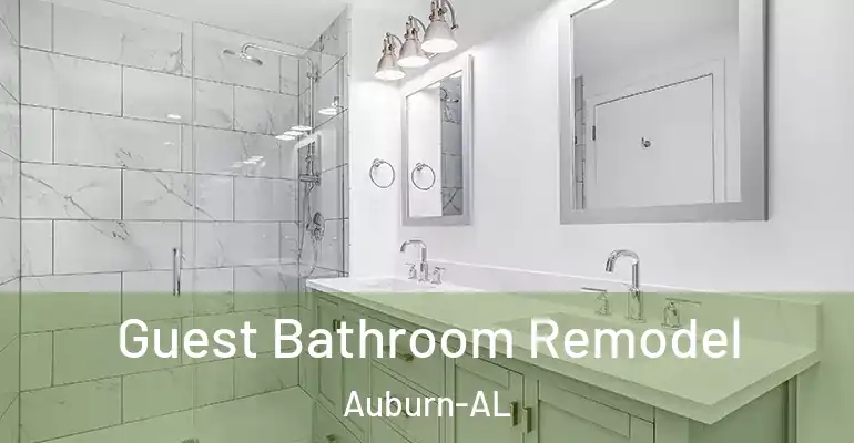 inner Bathroom imggen Guest Bathroom Remodel Auburn-AL