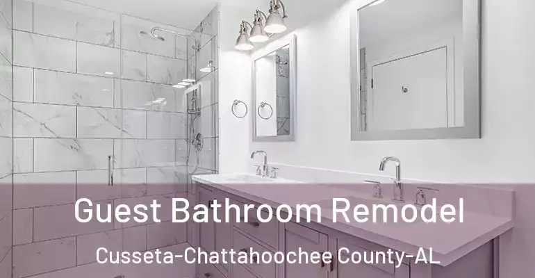 inner Bathroom imggen Guest Bathroom Remodel Cusseta-Chattahoochee County-AL