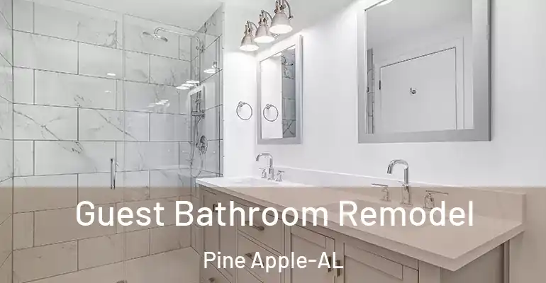 inner Bathroom imggen Guest Bathroom Remodel Pine Apple-AL