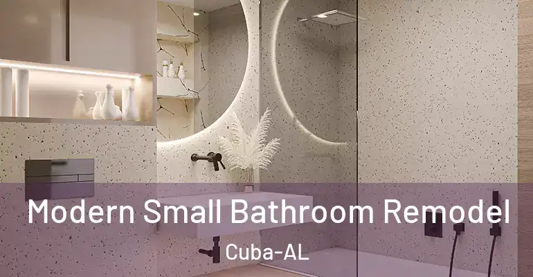 inner Bathroom imggen Modern Small Bathroom Remodel Cuba-AL