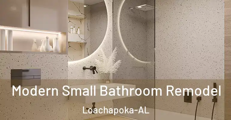 inner Bathroom imggen Modern Small Bathroom Remodel Loachapoka-AL