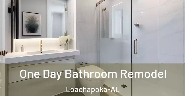 inner Bathroom imggen One Day Bathroom Remodel Loachapoka-AL