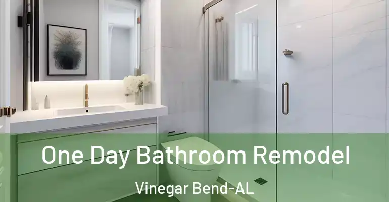 inner Bathroom imggen One Day Bathroom Remodel Vinegar Bend-AL