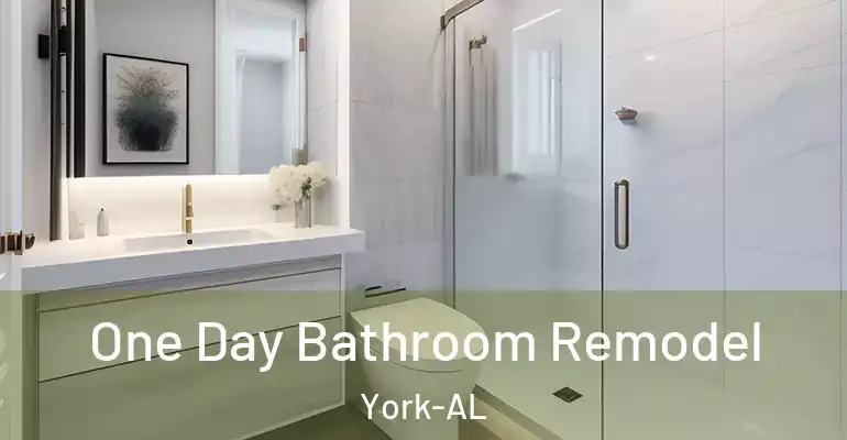 inner Bathroom imggen One Day Bathroom Remodel York-AL