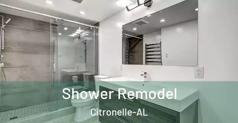 inner Bathroom imggen Shower Remodel Citronelle-AL