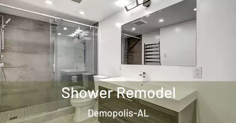 inner Bathroom imggen Shower Remodel Demopolis-AL