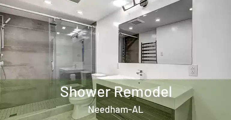 inner Bathroom imggen Shower Remodel Needham-AL