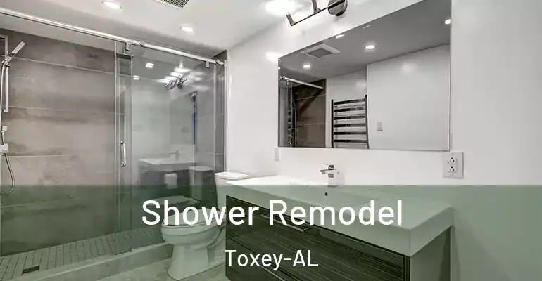 inner Bathroom imggen Shower Remodel Toxey-AL