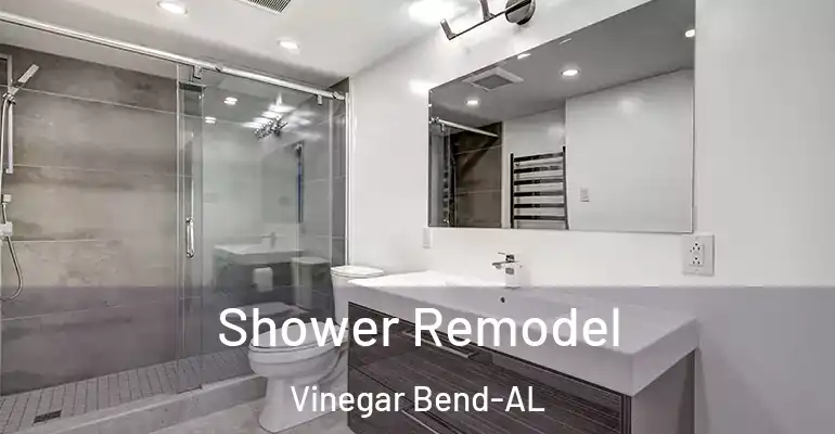 inner Bathroom imggen Shower Remodel Vinegar Bend-AL