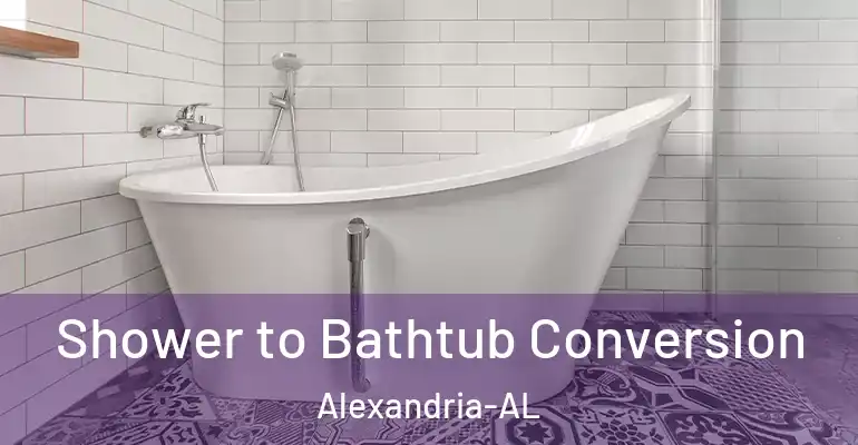 inner Bathroom imggen Shower to Bathtub Conversion Alexandria-AL