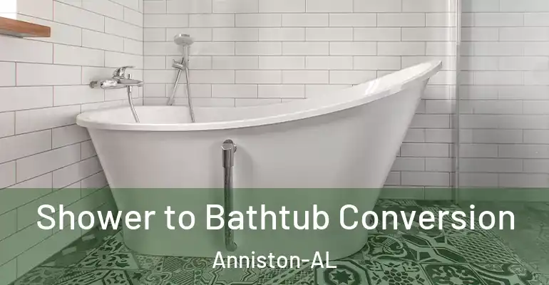 inner Bathroom imggen Shower to Bathtub Conversion Anniston-AL
