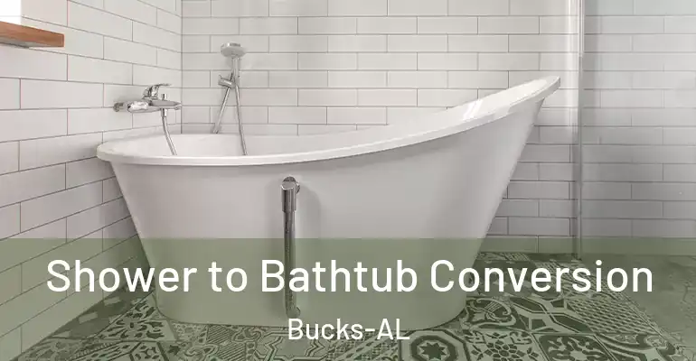 inner Bathroom imggen Shower to Bathtub Conversion Bucks-AL