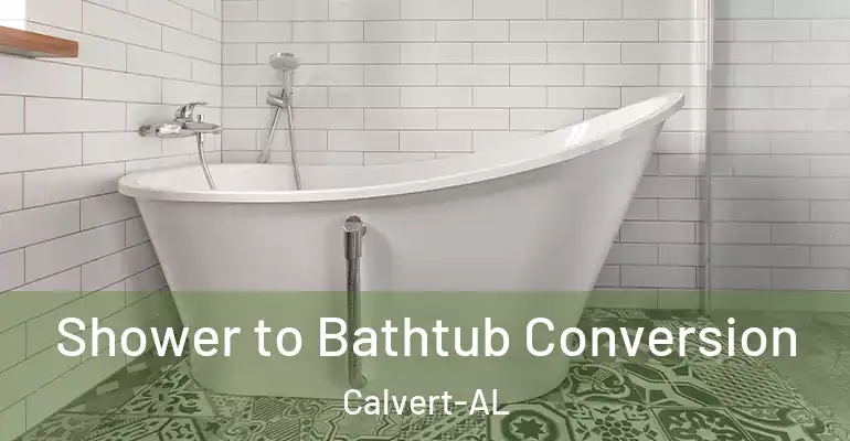 inner Bathroom imggen Shower to Bathtub Conversion Calvert-AL