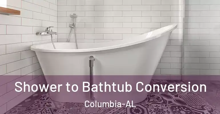 inner Bathroom imggen Shower to Bathtub Conversion Columbia-AL