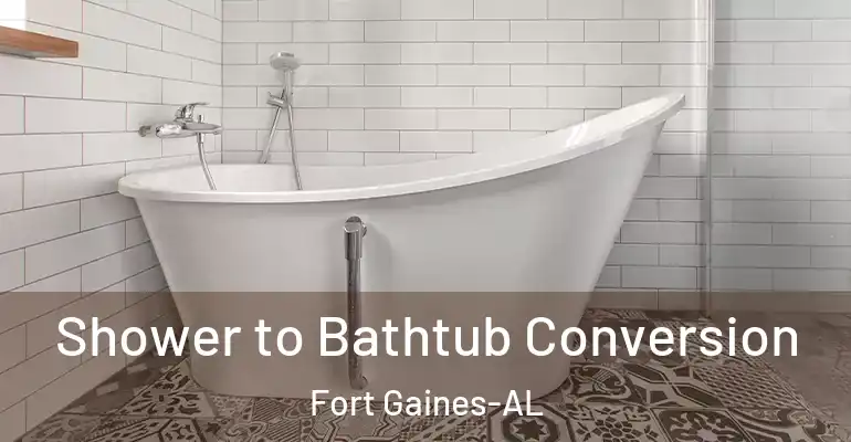 inner Bathroom imggen Shower to Bathtub Conversion Fort Gaines-AL