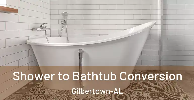 inner Bathroom imggen Shower to Bathtub Conversion Gilbertown-AL
