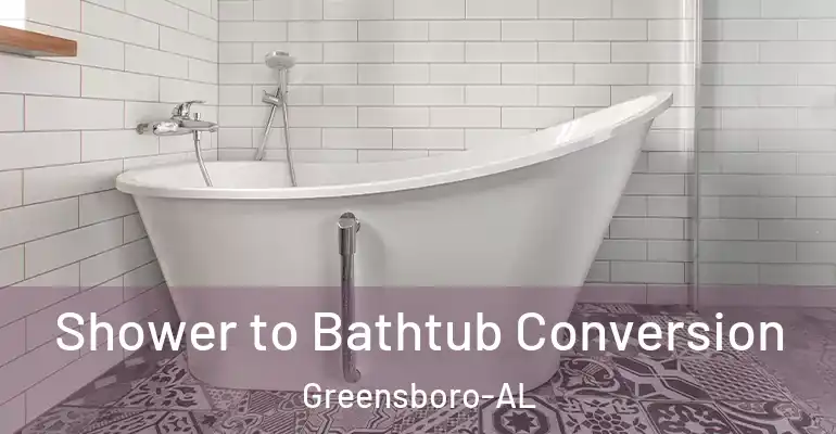 inner Bathroom imggen Shower to Bathtub Conversion Greensboro-AL