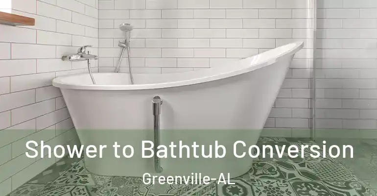 inner Bathroom imggen Shower to Bathtub Conversion Greenville-AL