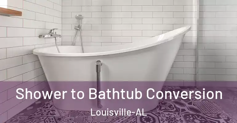 inner Bathroom imggen Shower to Bathtub Conversion Louisville-AL